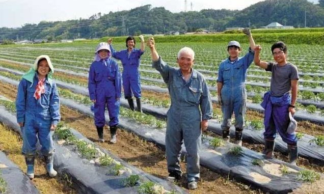 日本勞務(wù)派遣農(nóng)業(yè)類(lèi)、食品加工、建筑業(yè)、電子業(yè)招聘